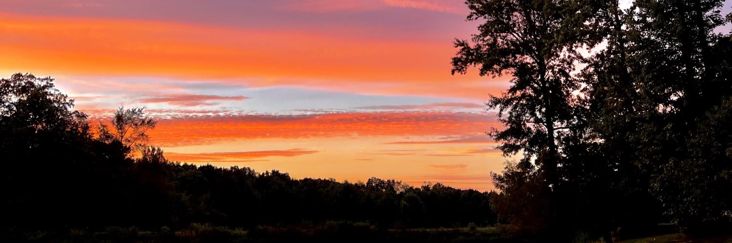 jasper_ralston's profile banner image