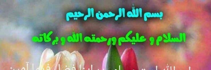 Sikadner Hanif banner