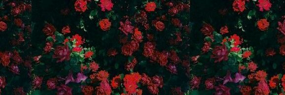 mtsgamze1's profile banner image