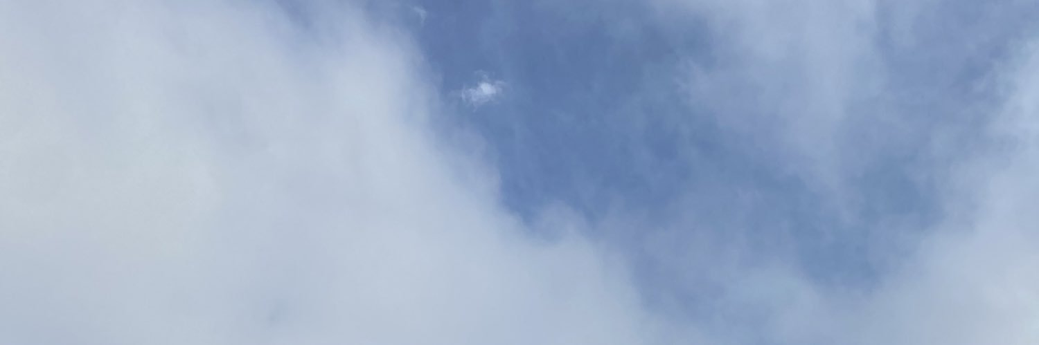 daniellemon25's profile banner image