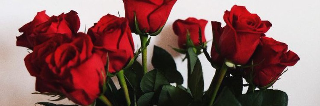 nishaaxox's profile banner image