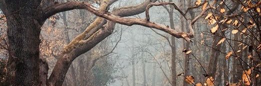malibooobarbie's profile banner image