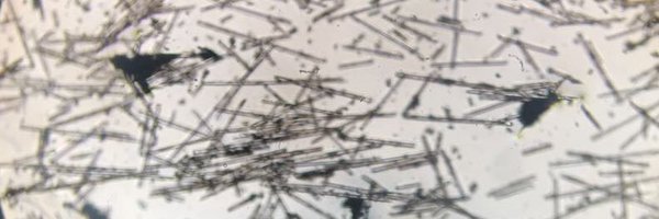 Wiirie Profile Banner