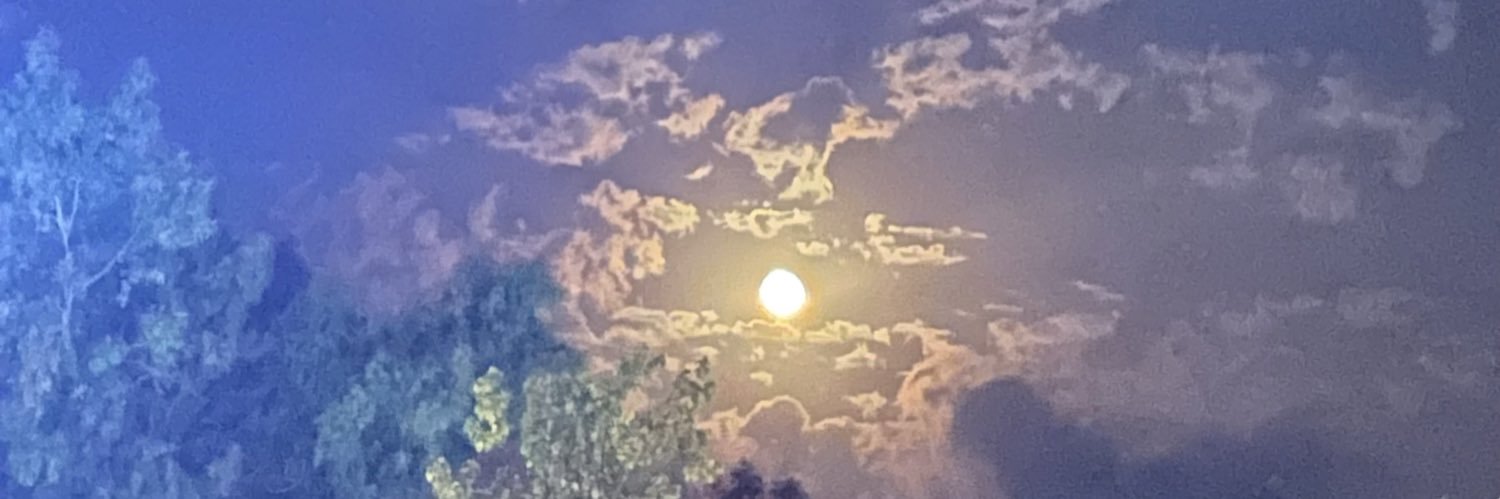 Dr Melina Safari banner