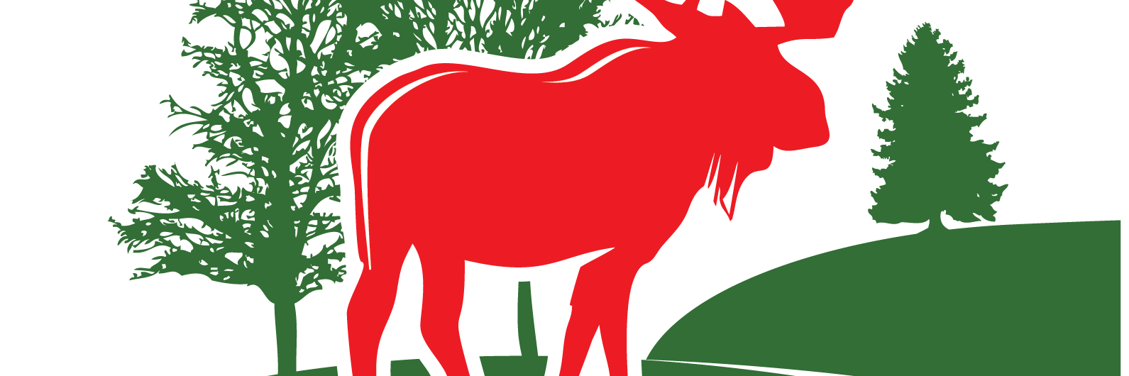 RedMooseNZ's profile banner image