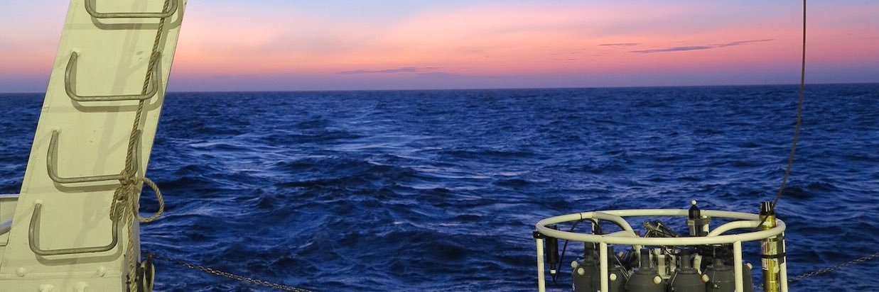 Dr. Emily Bockmon banner