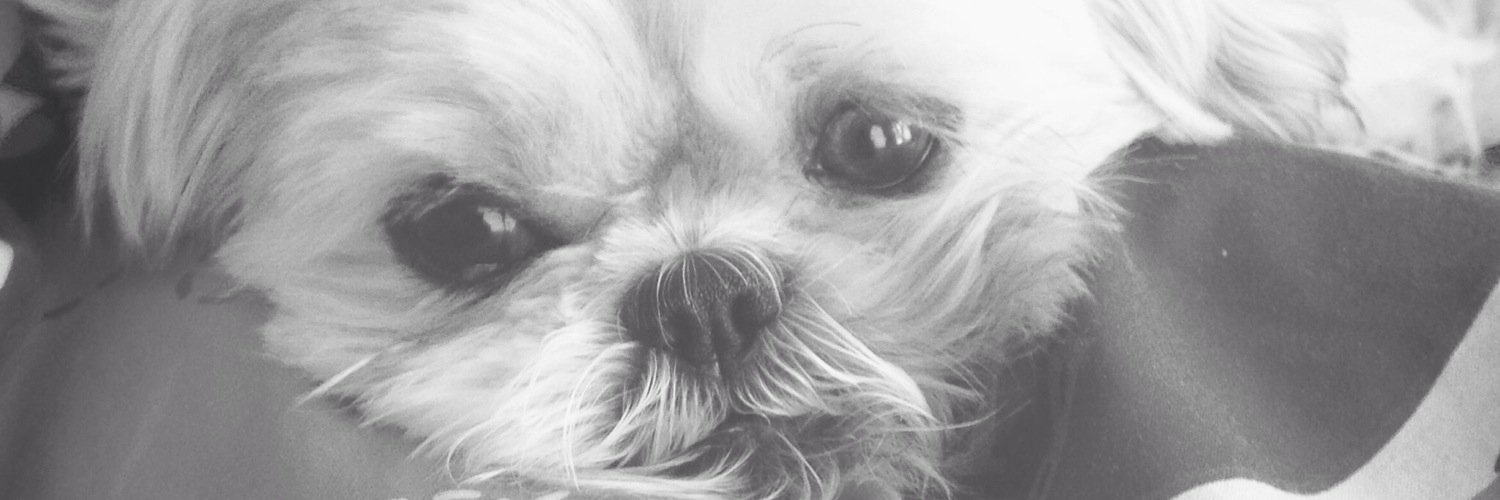 NickySilva's profile banner image