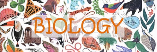 PHD_Biology's profile banner image