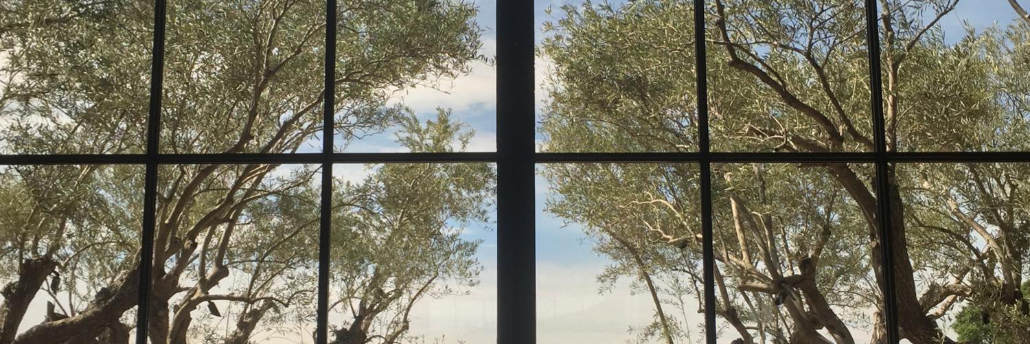 Jonathan Hirsch banner