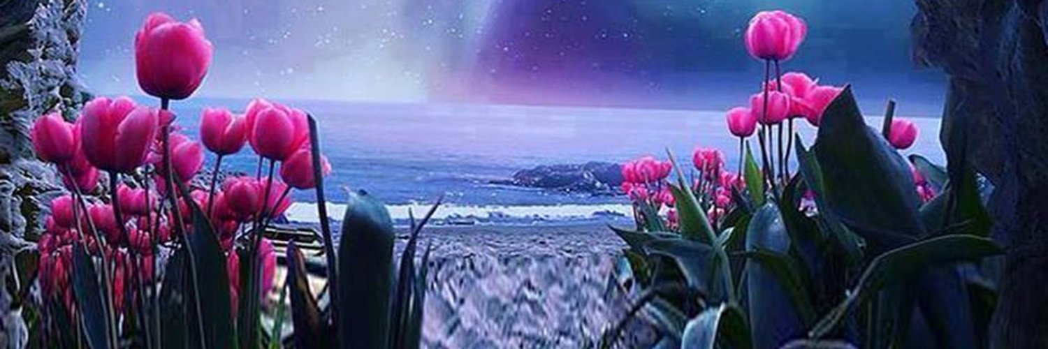 Ciin_19's profile banner image