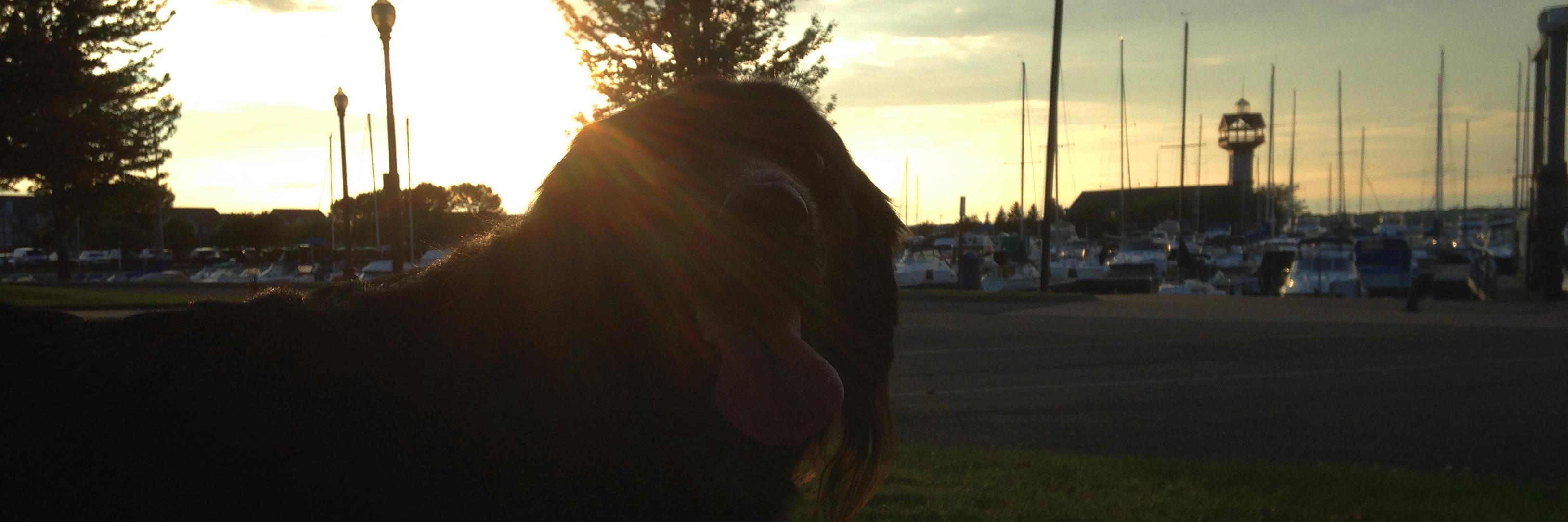 _Ella_May_'s profile banner image