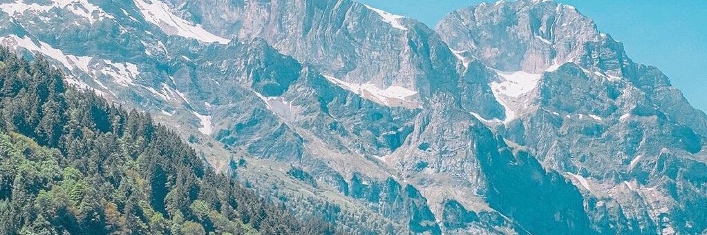 miezaya's profile banner image