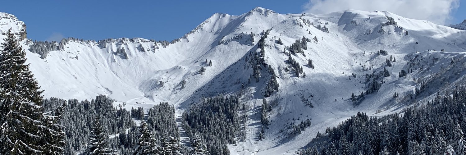 Kerryn J Clements banner