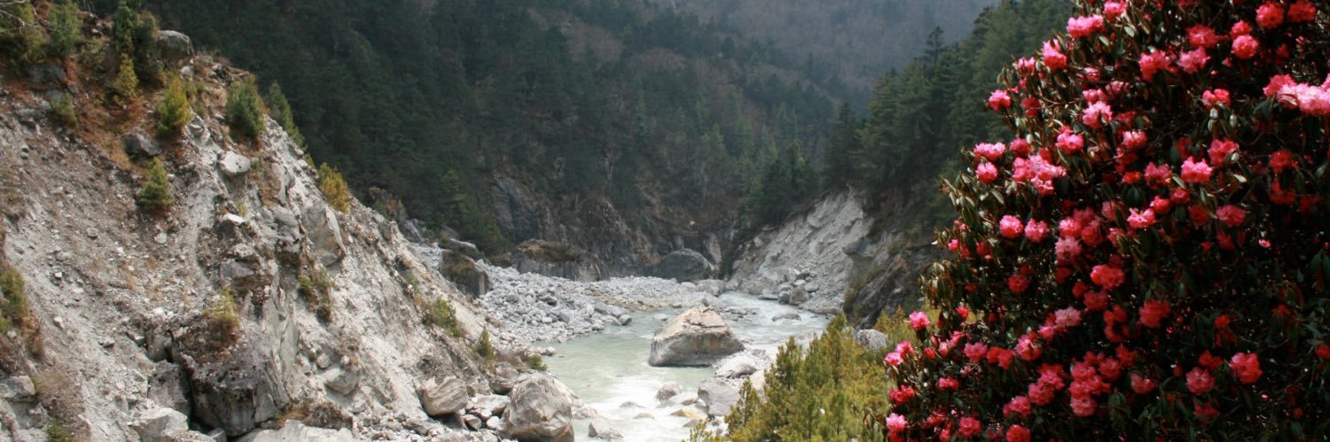 Emma Nicolson banner