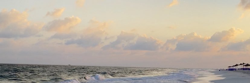 haneennezzat's profile banner image