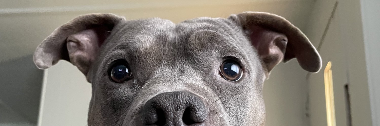 AnaaaAguilar's profile banner image