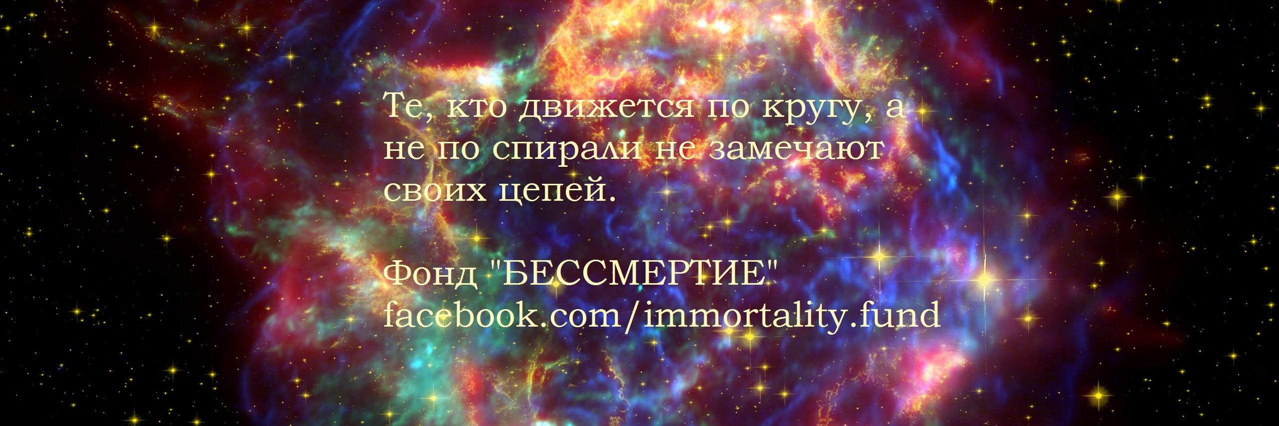 ImmortalityFund's profile banner image