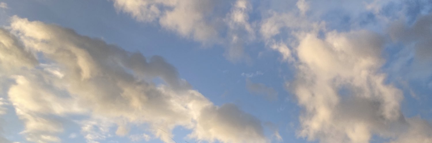 ainaxxf's profile banner image