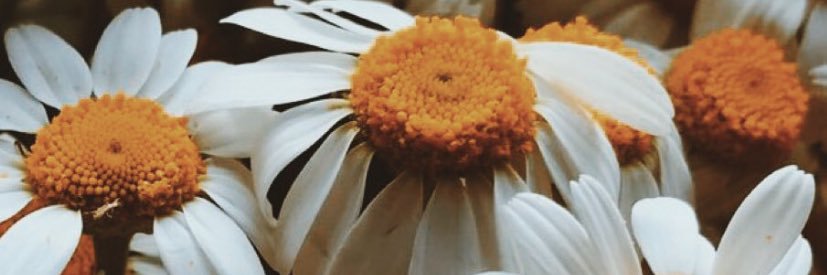 yesmadam88's profile banner image