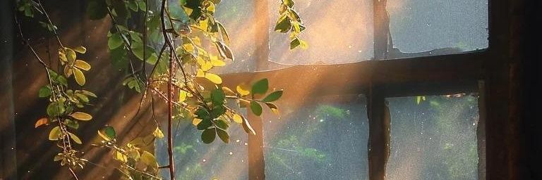 theaysito's profile banner image
