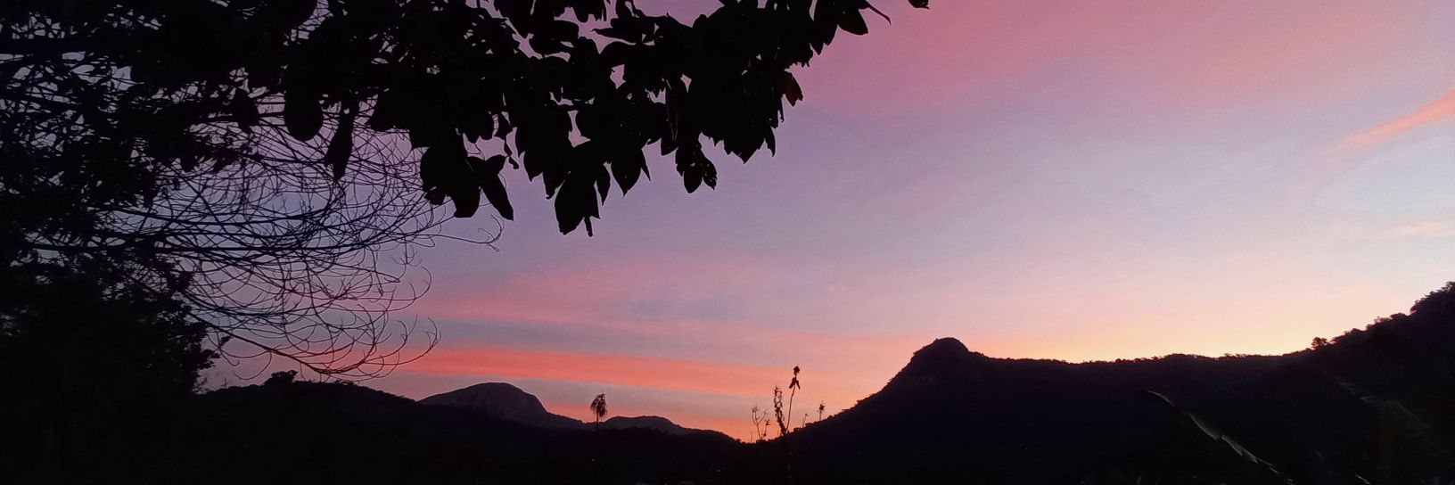 kathbarros's profile banner image