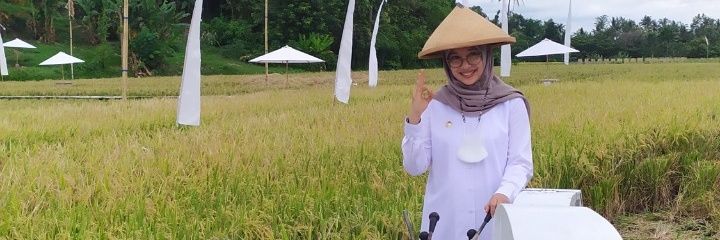 DINAS PERTANIAN & PANGAN KABUPATEN BANYUWANGI banner