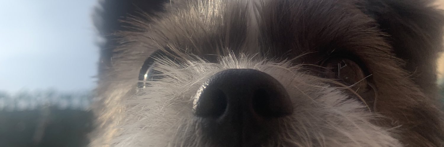 jameslyall_'s profile banner image
