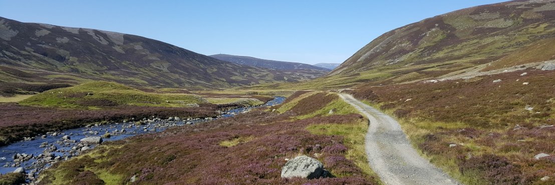 Andrew McIntosh banner