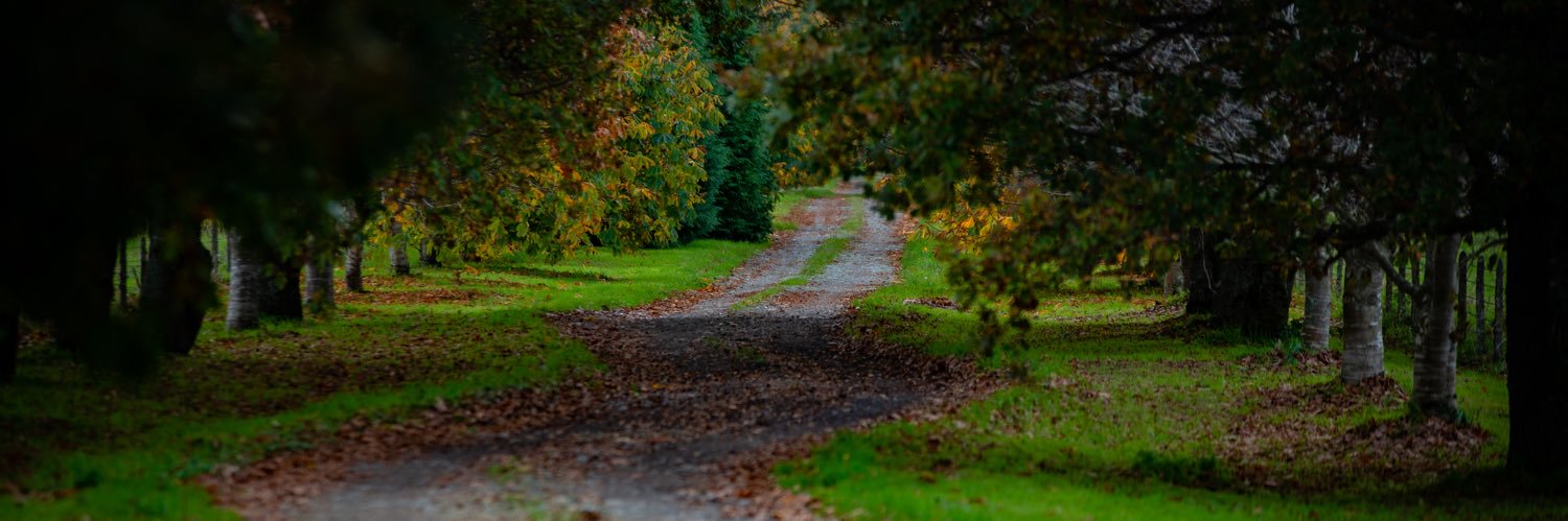 Ricardo del Sur banner