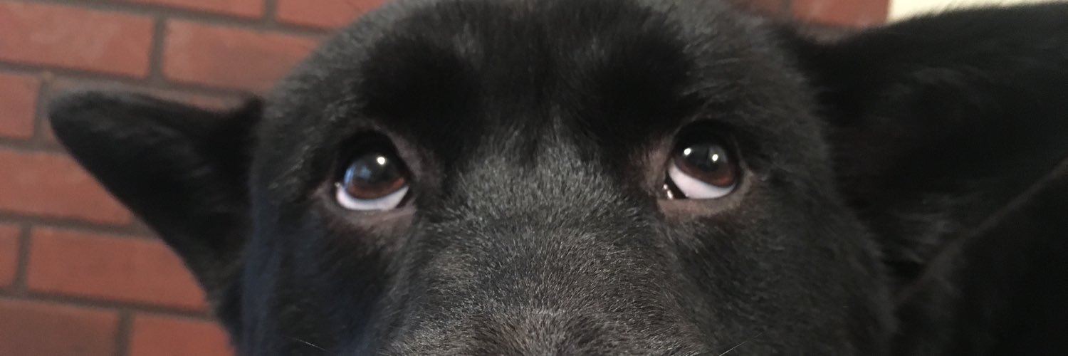 madomdomdom's profile banner image