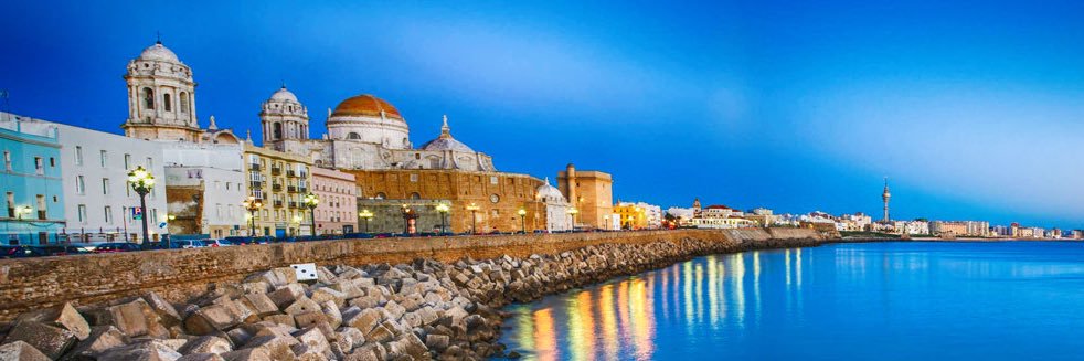 David Navarro banner