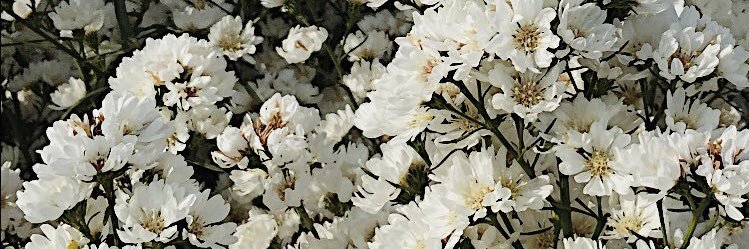 hnimnn's profile banner image