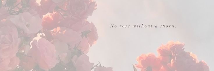 dalbitnara's profile banner image