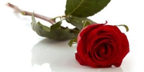 ClaudiaHeger's profile banner image