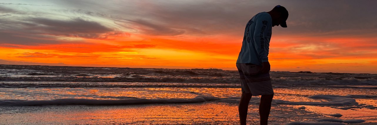 Viper🐬«§» banner