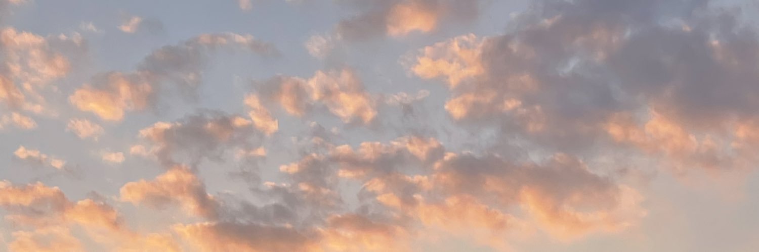 HSensorium's profile banner image