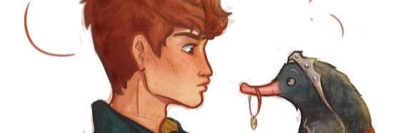 HP_Hufflepufffs's profile banner image
