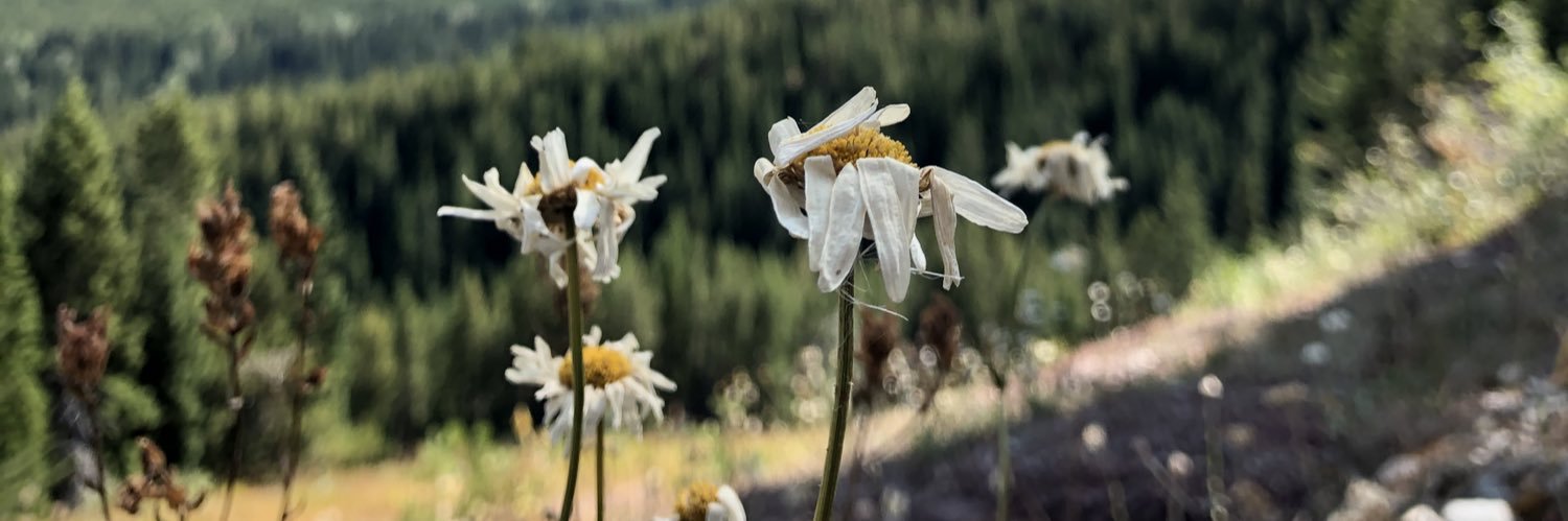 missdkrr's profile banner image