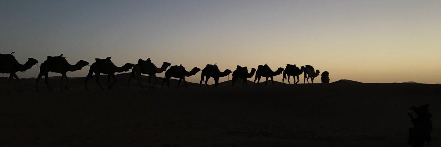 ifpdo2's profile banner image