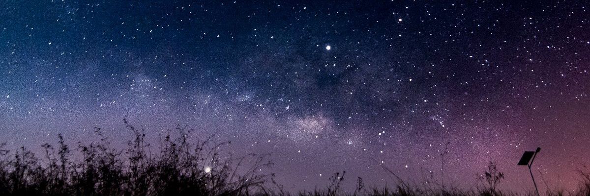 𝙻𝚒𝚊𝚖 𝙱𝚛𝚘𝚠𝚗ⓩⓞⓡⓝ ˢˢ⁴ banner