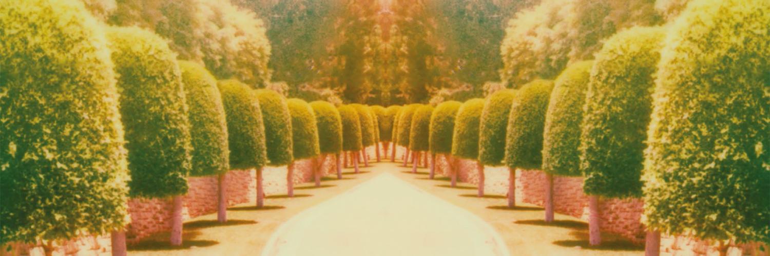 Sebastián Isla Decap banner