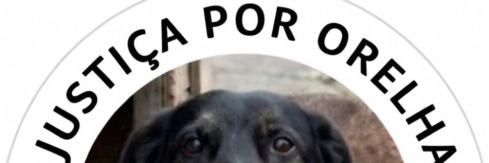 FepssFernanda's profile banner image
