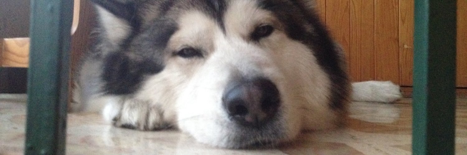 T_llez's profile banner image