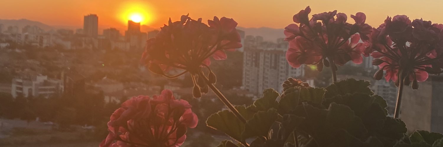 13calikusu's profile banner image