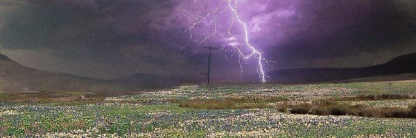 bugpsychic Profile Banner