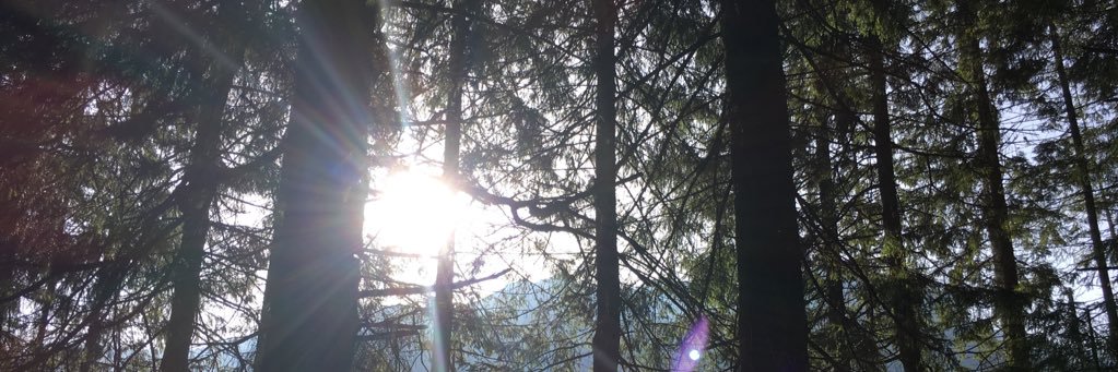 _claudiaa_m's profile banner image