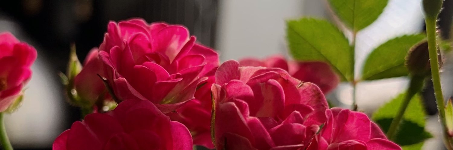 Rei__021's profile banner image