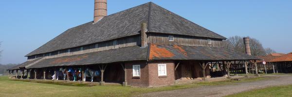 hallolosser Profile Banner