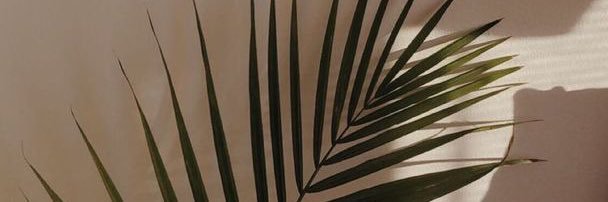 Ailu Greco banner