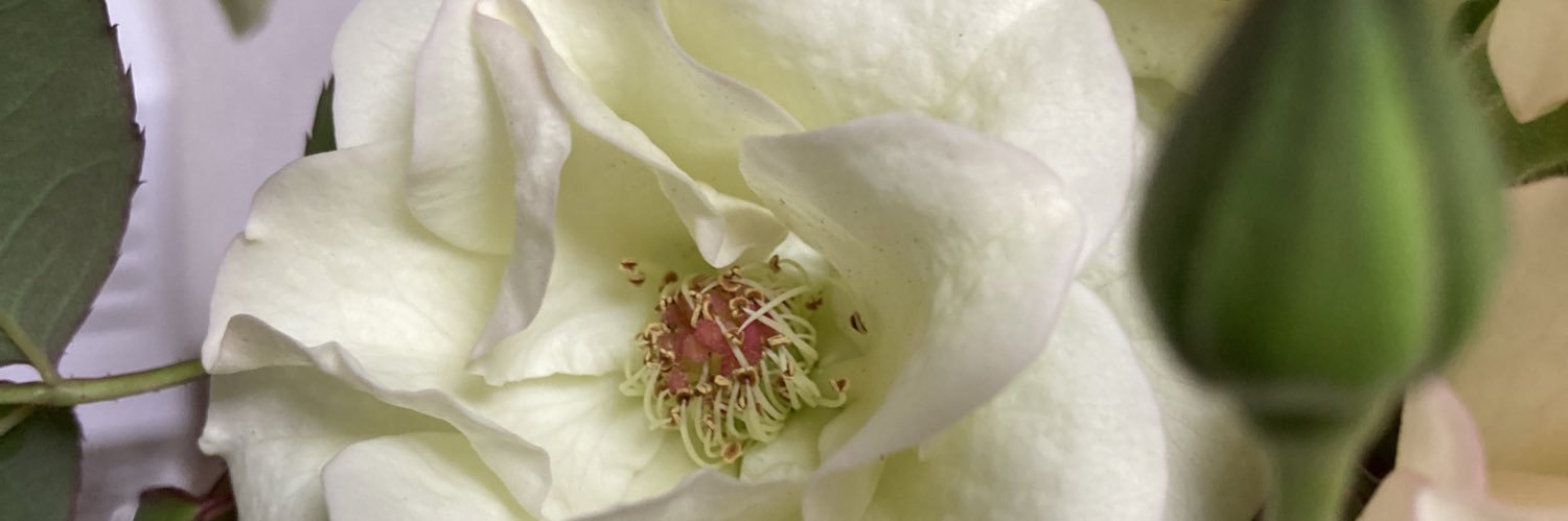 zxb004641's profile banner image